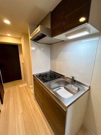 エスレジデンス錦糸町パークサイドの物件内観写真